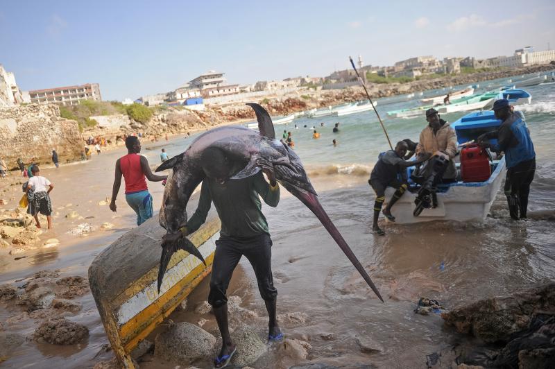 A Somali fisherman carries a fish to the market near the port in Mogadishu. One of the U.N. Sustainable Development Goals calls for the world to "conserve and sustainably use the oceans, seas and marine resources for sustainable development." A Somali fisherman carries a fish to the market near the port in Mogadishu. One of the U.N. Sustainable Development Goals calls for the world to "conserve and sustainably use the oceans, seas and marine resources for sustainable development."