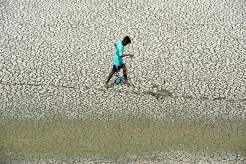 A youth scouts for mud crabs and snakehead fish on the parched bed of Chembarambakkam Lake on the outskirts of Chennai, India. A youth scouts for mud crabs and snakehead fish on the parched bed of Chembarambakkam Lake on the outskirts of Chennai, India.