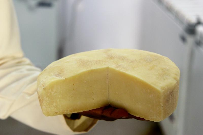 A wheel of hard, aged cheese. A wheel of hard, aged cheese.