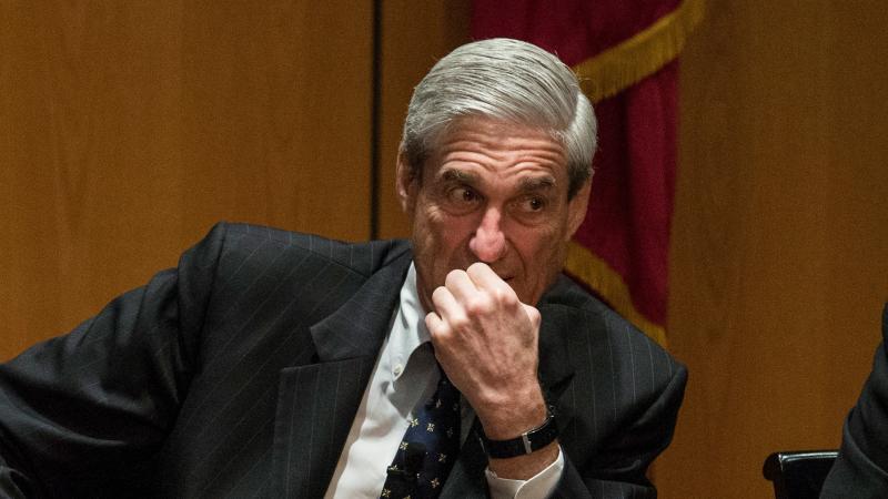 A decision barring dual prosecutions could allow some of those already convicted in special counsel Robert Mueller's probe to get off scot-free if President Trump were to pardon them. A decision barring dual prosecutions could allow some of those already convicted in special counsel Robert Mueller's probe to get off scot-free if President Trump were to pardon them.