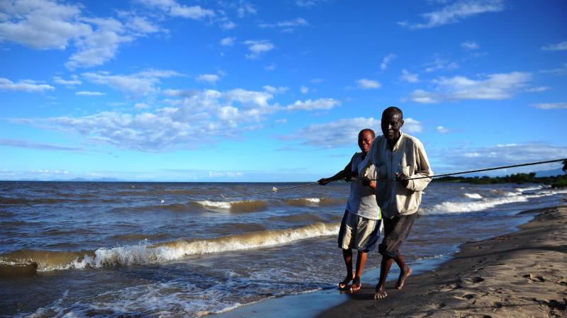 Fishermen drag a net in Lake Malawi in 2012. About the size of New Jersey, the lake is home to hundreds of fish species and is considered one of the most biologically diverse lakes in the world. Fishermen drag a net in Lake Malawi in 2012. About the size of New Jersey, the lake is home to hundreds of fish species and is considered one of the most biologically diverse lakes in the world.