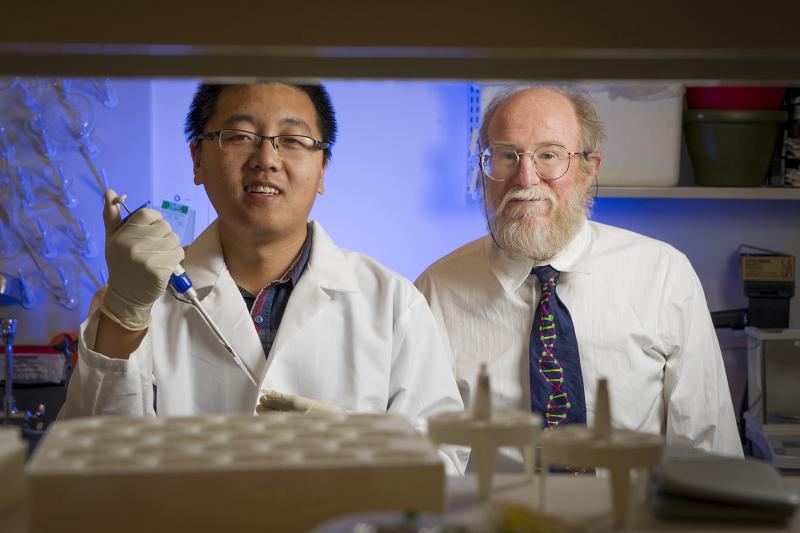 Duke graduate student Tianqi Song and computer science professor John Reif have created an analog DNA circuit that can add, subtract and multiply as the molecules form and break bonds. Duke graduate student Tianqi Song and computer science professor John Reif have created an analog DNA circuit that can add, subtract and multiply as the molecules form and break bonds.