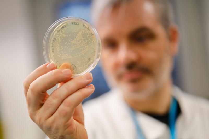 Paul McKay, a molecular immunologist at the Imperial College School of Medicine in London, checks a dish of bacteria containing genetic material from the new coronavirus. He and his team are testing a candidate vaccine. Paul McKay, a molecular immunologist at the Imperial College School of Medicine in London, checks a dish of bacteria containing genetic material from the new coronavirus. He and his team are testing a candidate vaccine.