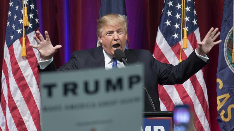 Do these hands look small? Some of Donald Trump's opponents have tried to needle him about his hand size. Do these hands look small? Some of Donald Trump's opponents have tried to needle him about his hand size.