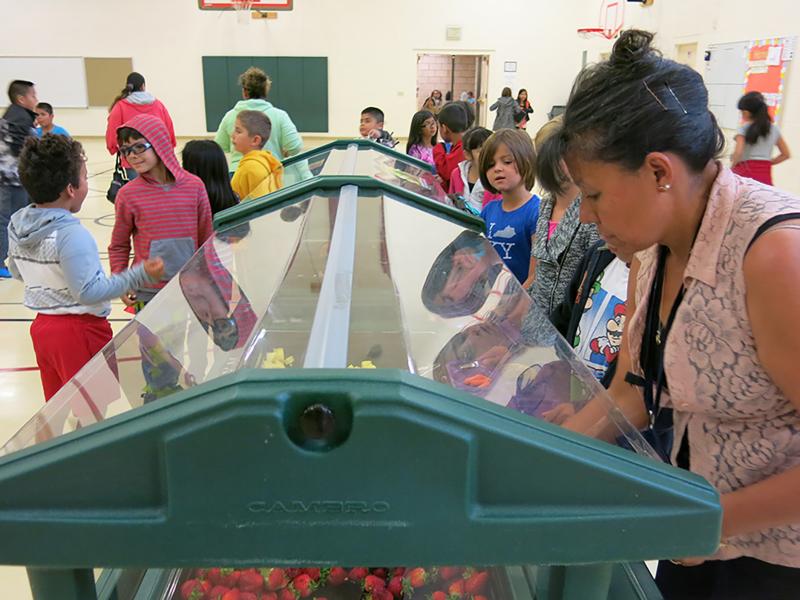Gloria Restrepo, a teacher's assistant at Harris Bilingual Elementary School in Fort Collins, Colo., helps students choose their lunch. Gloria Restrepo, a teacher's assistant at Harris Bilingual Elementary School in Fort Collins, Colo., helps students choose their lunch.