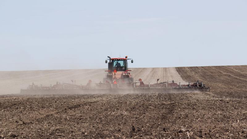Andrew Heineman's twin brother, Marcus, pulls a cultivator across a different field where they will plant seed corn this year, another alternative they selected when the price of corn started to fall and a new seed corn plant opened up nearby. Andrew Heineman's twin brother, Marcus, pulls a cultivator across a different field where they will plant seed corn this year, another alternative they selected when the price of corn started to fall and a new seed corn plant opened up nearby.