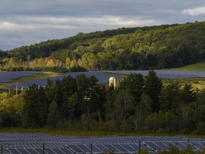 Solar farms surround trees at Cornell University in Ithaca, N.Y. The city voted Wednesday night to decarbonize the city's buildings and install more energy efficient appliances and more solar panels. The city says the move will cut 40% of their carbon emi Solar farms surround trees at Cornell University in Ithaca, N.Y. The city voted Wednesday night to decarbonize the city's buildings and install more energy efficient appliances and more solar panels. The city says the move will cut 40% of their carbon emi