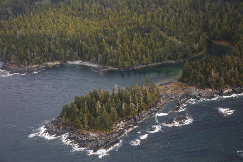 The Tongass National Forest, near Ketchikan, Alaska. The Trump Administration is set to remove long-standing protections against logging and development in the forest. The Tongass National Forest, near Ketchikan, Alaska. The Trump Administration is set to remove long-standing protections against logging and development in the forest.
