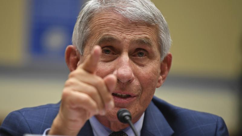 Dr. Anthony Fauci, director of the National Institute for Allergy and Infectious Diseases, testifies during a House Subcommittee hearing on the coronavirus crisis in July. Dr. Anthony Fauci, director of the National Institute for Allergy and Infectious Diseases, testifies during a House Subcommittee hearing on the coronavirus crisis in July.