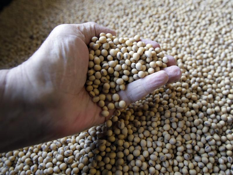 Soybeans ready for shipment and planting at a Kansas farm are one of the products at the center of the trade dispute with China. Soybeans ready for shipment and planting at a Kansas farm are one of the products at the center of the trade dispute with China.
