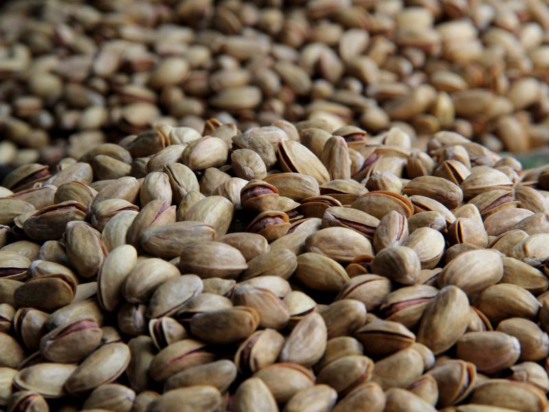 Pistachios, a possible energy source for a Turkish city. Pistachios, a possible energy source for a Turkish city.