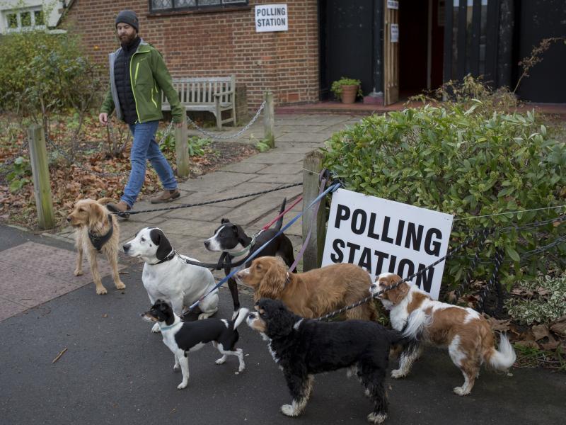 Dogs wait for their owners outside a polling station in London, part of a popular tradition of taking pets to the polls. The U.K. is voting in a general election to select 650 members of Parliament. Dogs wait for their owners outside a polling station in London, part of a popular tradition of taking pets to the polls. The U.K. is voting in a general election to select 650 members of Parliament.