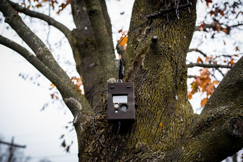 A motion triggered camera is mounted to a tree pointed toward a soft border crossing on the Haskell Free Library & Opera House, which is bisected by the border. A motion triggered camera is mounted to a tree pointed toward a soft border crossing on the Haskell Free Library & Opera House, which is bisected by the border.
