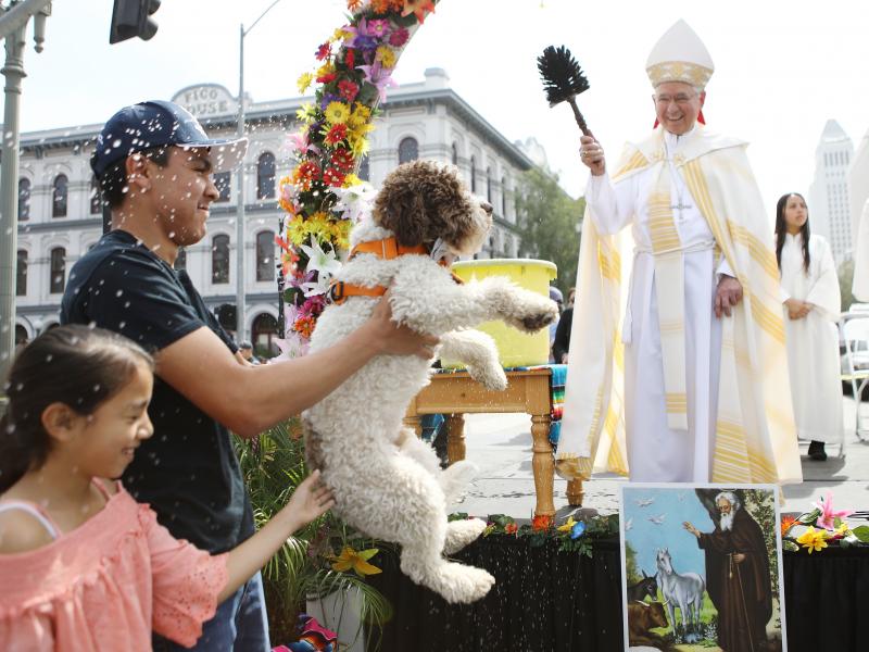 Archbishop José Gomez, 67, was elected to lead the U.S. Conference of Catholic Bishops Tuesday. He's seen here blessing a dog with holy water during the annual Blessing of the Animals ceremony in Los Angeles last year. Archbishop José Gomez, 67, was elected to lead the U.S. Conference of Catholic Bishops Tuesday. He's seen here blessing a dog with holy water during the annual Blessing of the Animals ceremony in Los Angeles last year.