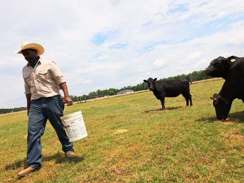Handy Kennedy, founder of AgriUnity cooperative, feeds his cows on HK Farms earlier this year in Cobbtown, Ga. The AgriUnity cooperative is a group of Black farmers formed to better their chances of economic success. Handy Kennedy, founder of AgriUnity cooperative, feeds his cows on HK Farms earlier this year in Cobbtown, Ga. The AgriUnity cooperative is a group of Black farmers formed to better their chances of economic success.