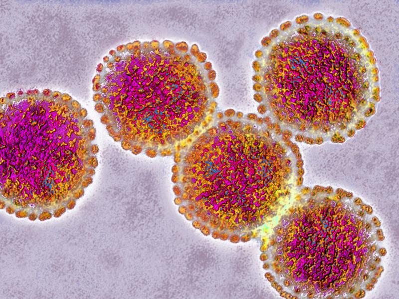 Avian influenza, or bird flu, causes an infectious and contagious respiratory disease. In the lab, several scientists have made the H5N1 strain more contagious, a controversial line of research. Avian influenza, or bird flu, causes an infectious and contagious respiratory disease. In the lab, several scientists have made the H5N1 strain more contagious, a controversial line of research.