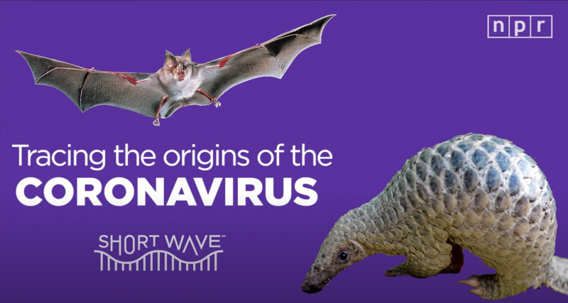 Tracing the origins of the coronavirus. Tracing the origins of the coronavirus.