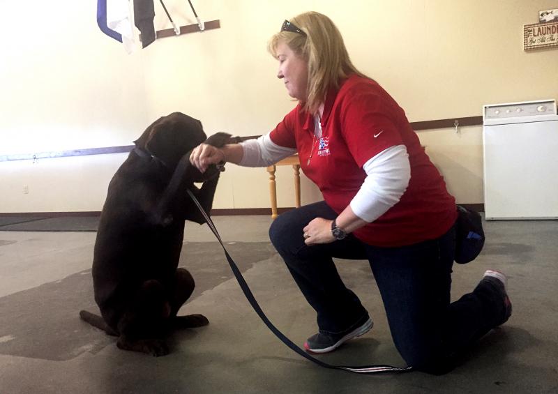 Cheryl Woolnough, director of training at Patriot PAWS in Rockwall, Texas, works with Papi, a Labrador retriever. Cheryl Woolnough, director of training at Patriot PAWS in Rockwall, Texas, works with Papi, a Labrador retriever.