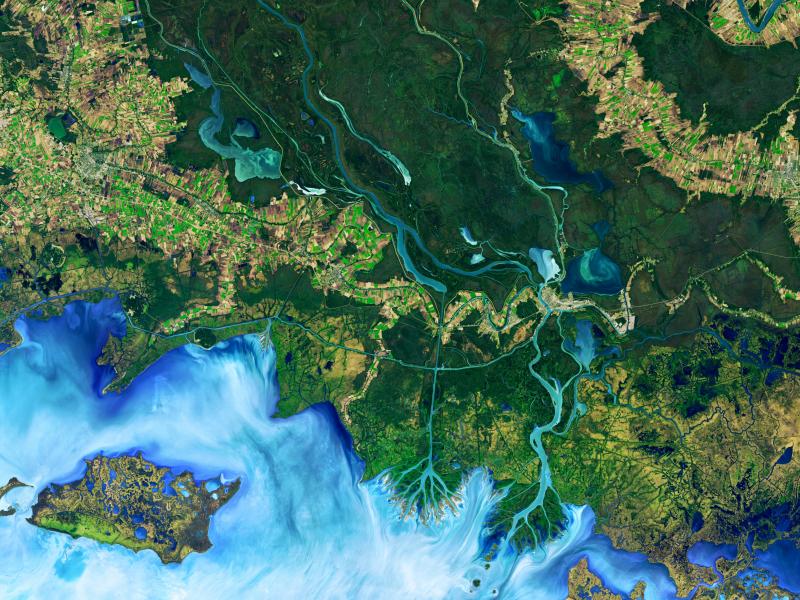 This false-color image, Operational Land Imager (OLI) on Landsat 8, shows the Atchafalaya Delta in Louisiana on Dec. 1, 2016. The colors emphasize the difference between land and water while allowing viewers to observe waterborne sediment, which is typica This false-color image, Operational Land Imager (OLI) on Landsat 8, shows the Atchafalaya Delta in Louisiana on Dec. 1, 2016. The colors emphasize the difference between land and water while allowing viewers to observe waterborne sediment, which is typica