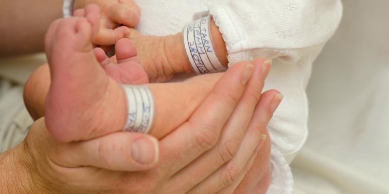 Hands holding one week old baby boy. Hands holding one week old baby boy.