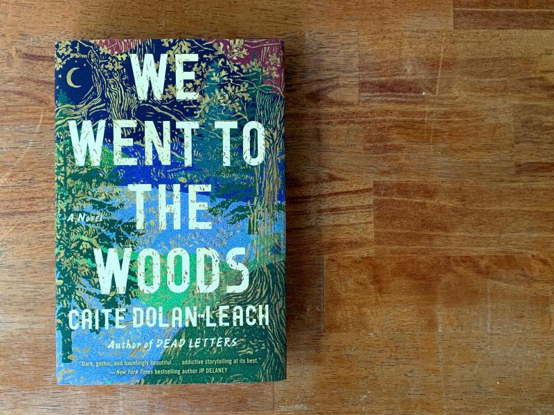 We Went to the Woods, by Caite Dolan-Leach We Went to the Woods, by Caite Dolan-Leach