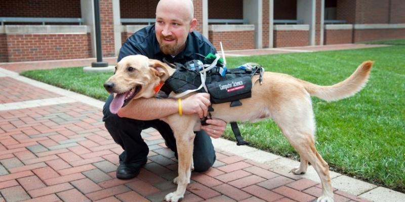 David Roberts says the Cyber-Enhanced Working Dog harness will allow humans to monitor dogs' physical and emotional states remotely, such as in search and rescue operations. David Roberts says the Cyber-Enhanced Working Dog harness will allow humans to monitor dogs' physical and emotional states remotely, such as in search and rescue operations.