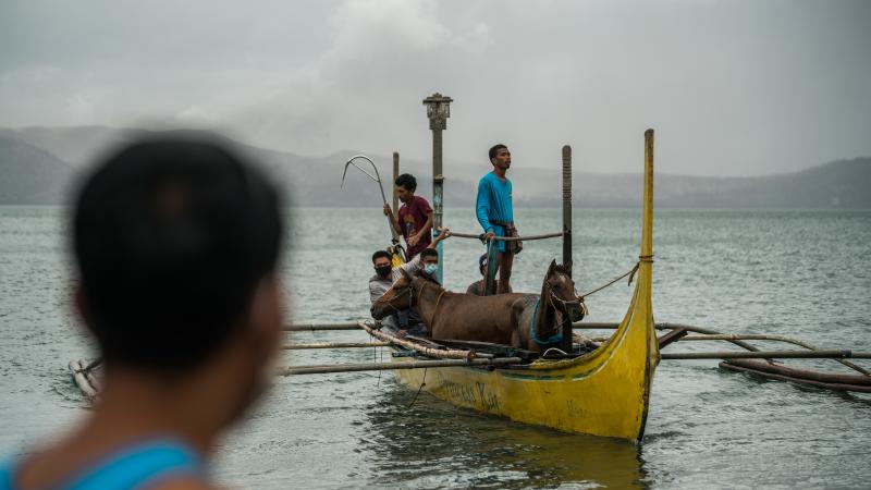 Rescued horses arrive from Taal Volcano Island via boats. About 1,000 horses were left behind on the island as residents fled Sunday's eruption. Rescued horses arrive from Taal Volcano Island via boats. About 1,000 horses were left behind on the island as residents fled Sunday's eruption.