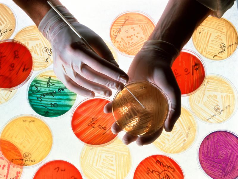 Research with living systems is never simple, scientists say, so there are many possible sources of variation in any experiment, ranging from the animals and cells to the details of lab technique. Research with living systems is never simple, scientists say, so there are many possible sources of variation in any experiment, ranging from the animals and cells to the details of lab technique.