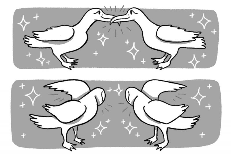 Eliot Schrefer's book, Queer Ducks (and Other Animals): The Natural World of Animal Sexuality, is designed to be teenager friendly. It's filled with comics and humor and accessible science on the diversity of sexual behavior in the animal world. Eliot Schrefer's book, Queer Ducks (and Other Animals): The Natural World of Animal Sexuality, is designed to be teenager friendly. It's filled with comics and humor and accessible science on the diversity of sexual behavior in the animal world.
