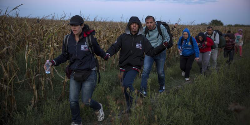 Refugees from Syria walk in Hungary near the Serbian border earlier this month. Refugees from Syria walk in Hungary near the Serbian border earlier this month.