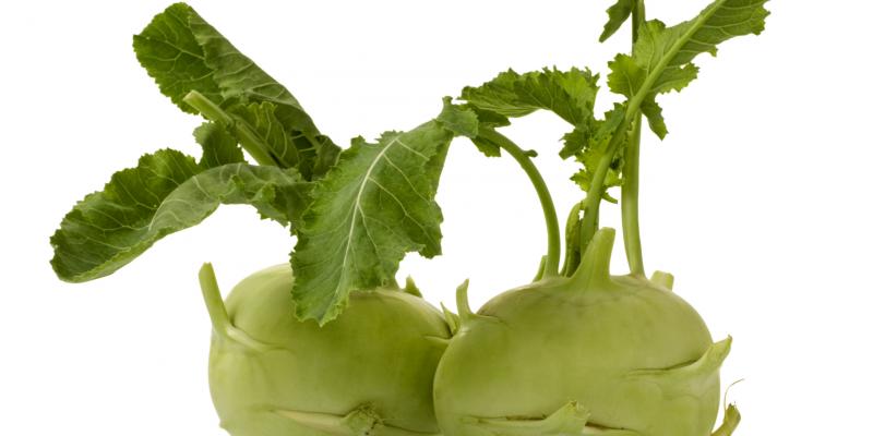 Kohlrabi, peeled and sliced, is refreshing, but lightly poached is good too, says chef April Bloomfield. Kohlrabi, peeled and sliced, is refreshing, but lightly poached is good too, says chef April Bloomfield.