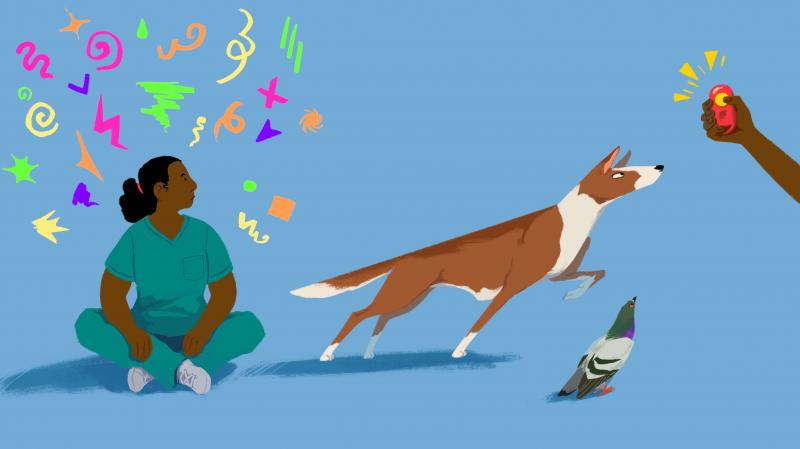 The clicker became a popular tool for dog training in the 1980s. Today, it has also caught on with humans--helping people to become better dancers, fishermen, golfers, and now, surgeons. The clicker became a popular tool for dog training in the 1980s. Today, it has also caught on with humans--helping people to become better dancers, fishermen, golfers, and now, surgeons.
