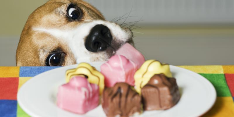 Hard to resist. But if they're marijuana edibles, not such a treat. Hard to resist. But if they're marijuana edibles, not such a treat.