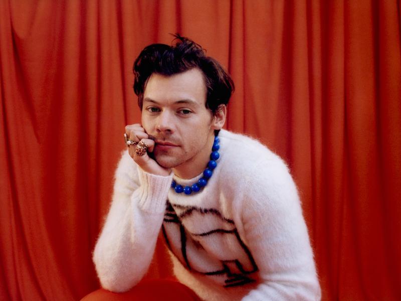 Harry Styles. Harry Styles.