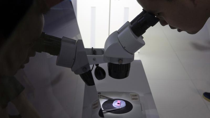 A visitor to the 21st China Beijing International High-Tech Expo looks at a computer chip through a microscope. The White House said Tuesday that it will impose tariffs on $50 billion in imports from China containing "industrially significant technology." A visitor to the 21st China Beijing International High-Tech Expo looks at a computer chip through a microscope. The White House said Tuesday that it will impose tariffs on $50 billion in imports from China containing "industrially significant technology."