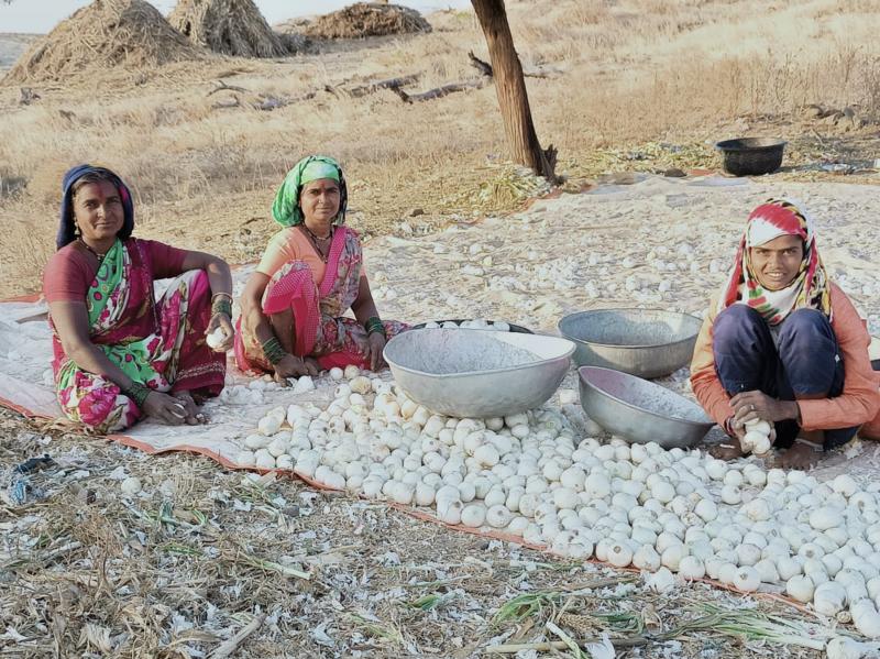 Field hockey star Sarita Bhise (right) with her mother (far left) and maternal aunt, cleaning onions they've harvested on the family farm. Field hockey star Sarita Bhise (right) with her mother (far left) and maternal aunt, cleaning onions they've harvested on the family farm.