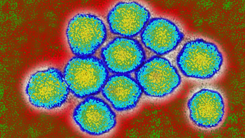 The initial test for hepatitis C is an inexpensive blood test to check for antibodies that indicate the person's been exposed to the virus. If that antibody test is positive, a second test is done to see if the virus is circulating in the bloodstream — The initial test for hepatitis C is an inexpensive blood test to check for antibodies that indicate the person's been exposed to the virus. If that antibody test is positive, a second test is done to see if the virus is circulating in the bloodstream —