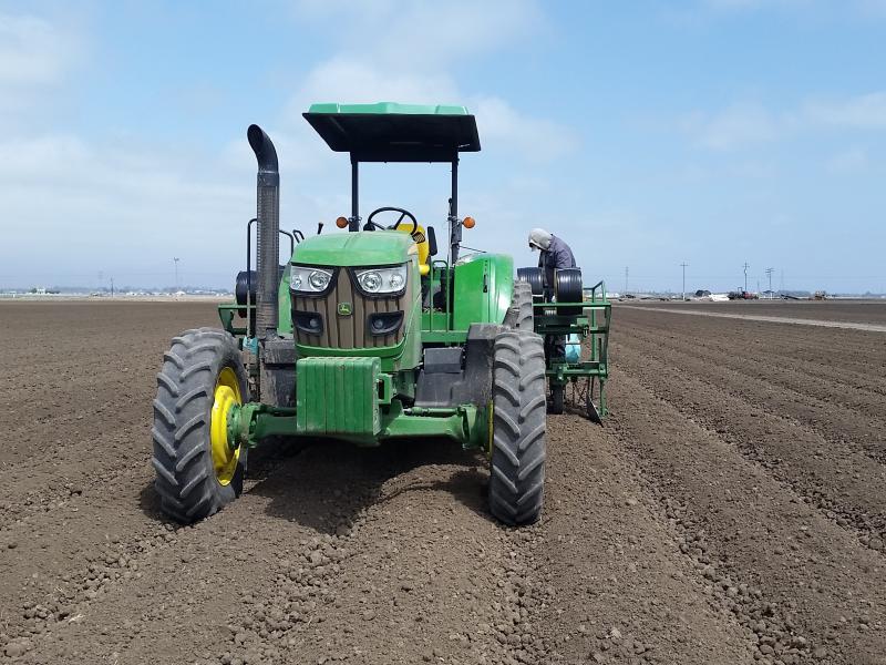 Tanimura & Antle workers use tractors to install drip tape into fields that will be used to grow lettuce and other crops in California's Salinas Valley. Tanimura & Antle workers use tractors to install drip tape into fields that will be used to grow lettuce and other crops in California's Salinas Valley.