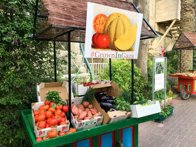 A cart in the garden of the U.S. Consulate in Jerusalem displays produce grown in Gaza: tomatoes, sweet potatoes, eggplant, sweet and hot peppers, green onions and herbs. Like all products leaving Gaza, this shipment needed Israeli approval. A cart in the garden of the U.S. Consulate in Jerusalem displays produce grown in Gaza: tomatoes, sweet potatoes, eggplant, sweet and hot peppers, green onions and herbs. Like all products leaving Gaza, this shipment needed Israeli approval.