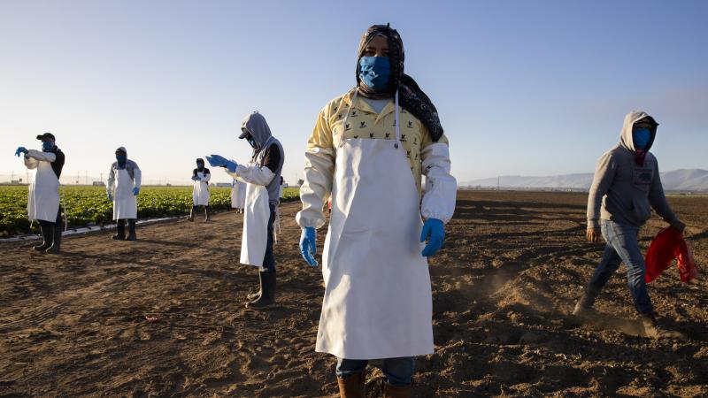 Before massive wildfires broke out in California, farmworkers already had to take extra precautions for COVID-19. Now they must worry about dangerous air from wildfires. In this photo, farmworkers arrive early in the morning to begin harvesting on April 2 Before massive wildfires broke out in California, farmworkers already had to take extra precautions for COVID-19. Now they must worry about dangerous air from wildfires. In this photo, farmworkers arrive early in the morning to begin harvesting on April 2