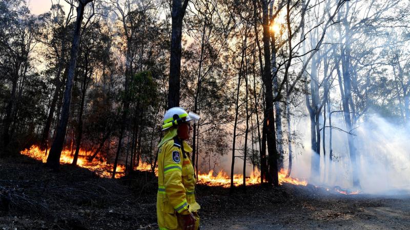 A firefighter monitors a fire on Saturday near Port Macquarie in New South Wales. Australia's most populous state has been subject to a large outbreak of wildfires because of drought conditions. A firefighter monitors a fire on Saturday near Port Macquarie in New South Wales. Australia's most populous state has been subject to a large outbreak of wildfires because of drought conditions.