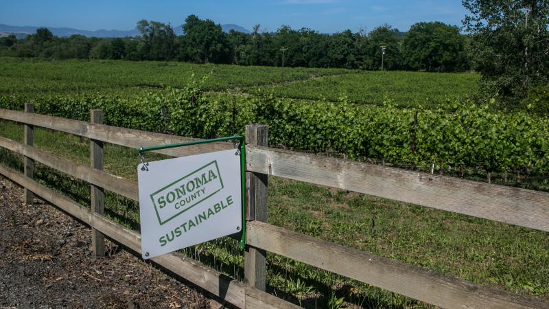 A "Sonoma Sustainable" sign hangs along a road in the Russian River Valley near Healdsburg, Calif. A "Sonoma Sustainable" sign hangs along a road in the Russian River Valley near Healdsburg, Calif.
