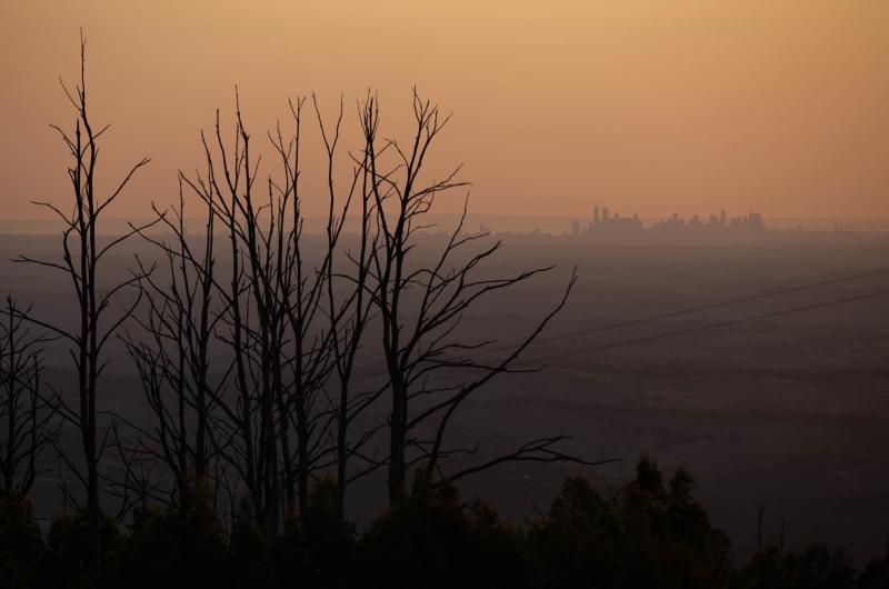 Bushfires followed by intense rain can cause unsettled sediment and debris to contaminate local water reservoirs. Melbourne's water authority invested in catchments to combat this threat, though scientists are still trying to understand when and how these Bushfires followed by intense rain can cause unsettled sediment and debris to contaminate local water reservoirs. Melbourne's water authority invested in catchments to combat this threat, though scientists are still trying to understand when and how these
