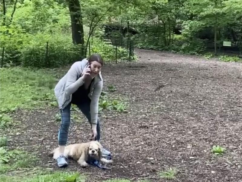 The Manhattan district attorney says he will prosecute Amy Cooper, who called police after a black man asked her to leash her dog in New York's Central Park. The Manhattan district attorney says he will prosecute Amy Cooper, who called police after a black man asked her to leash her dog in New York's Central Park.