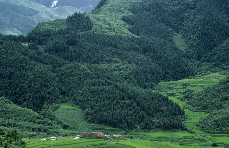 A landscape with a reforestation project in Gongxian County in Sichuan, China. A landscape with a reforestation project in Gongxian County in Sichuan, China.