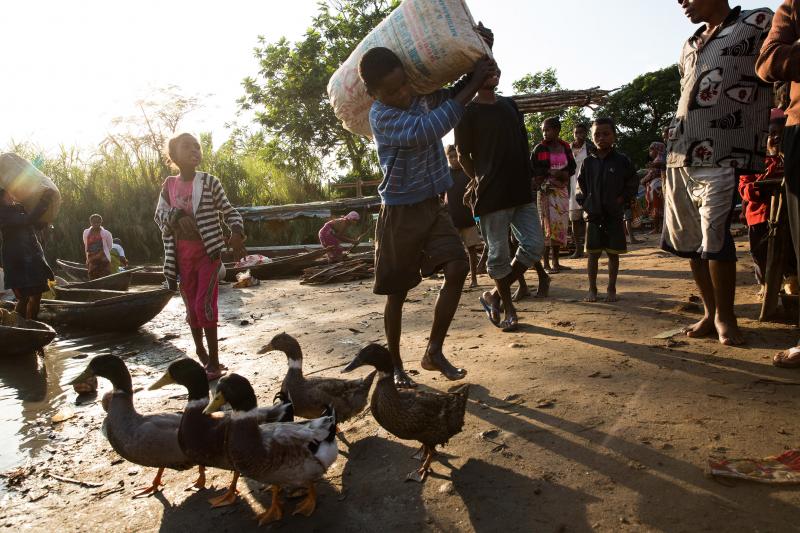 A boy carries a sack of grain from a dugout canoe to shore in the village of Ambohitsara in eastern Madagascar, characterized as a low-income country by the World Bank. A boy carries a sack of grain from a dugout canoe to shore in the village of Ambohitsara in eastern Madagascar, characterized as a low-income country by the World Bank.