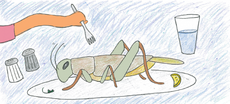 Would you eat a cricket? Would you eat a cricket?