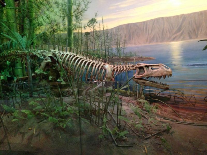 triassic species