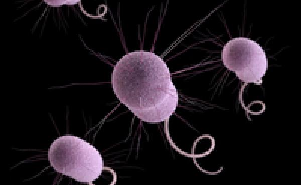 On Tuesday night, PBS' Frontline will investigate how decades of antibiotic overuse has led to the emergence of drug-resistant superbugs. On Tuesday night, PBS' Frontline will investigate how decades of antibiotic overuse has led to the emergence of drug-resistant superbugs.