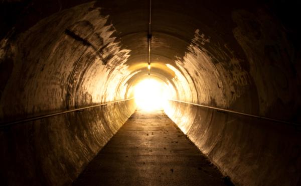 Could the images common in accounts of near-death experiences be explained by a rush of electrical activity in the brain? Could the images common in accounts of near-death experiences be explained by a rush of electrical activity in the brain?